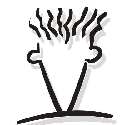  Fido Dido 