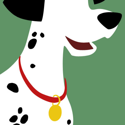  Pongo 