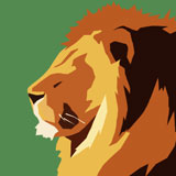  Aslan 